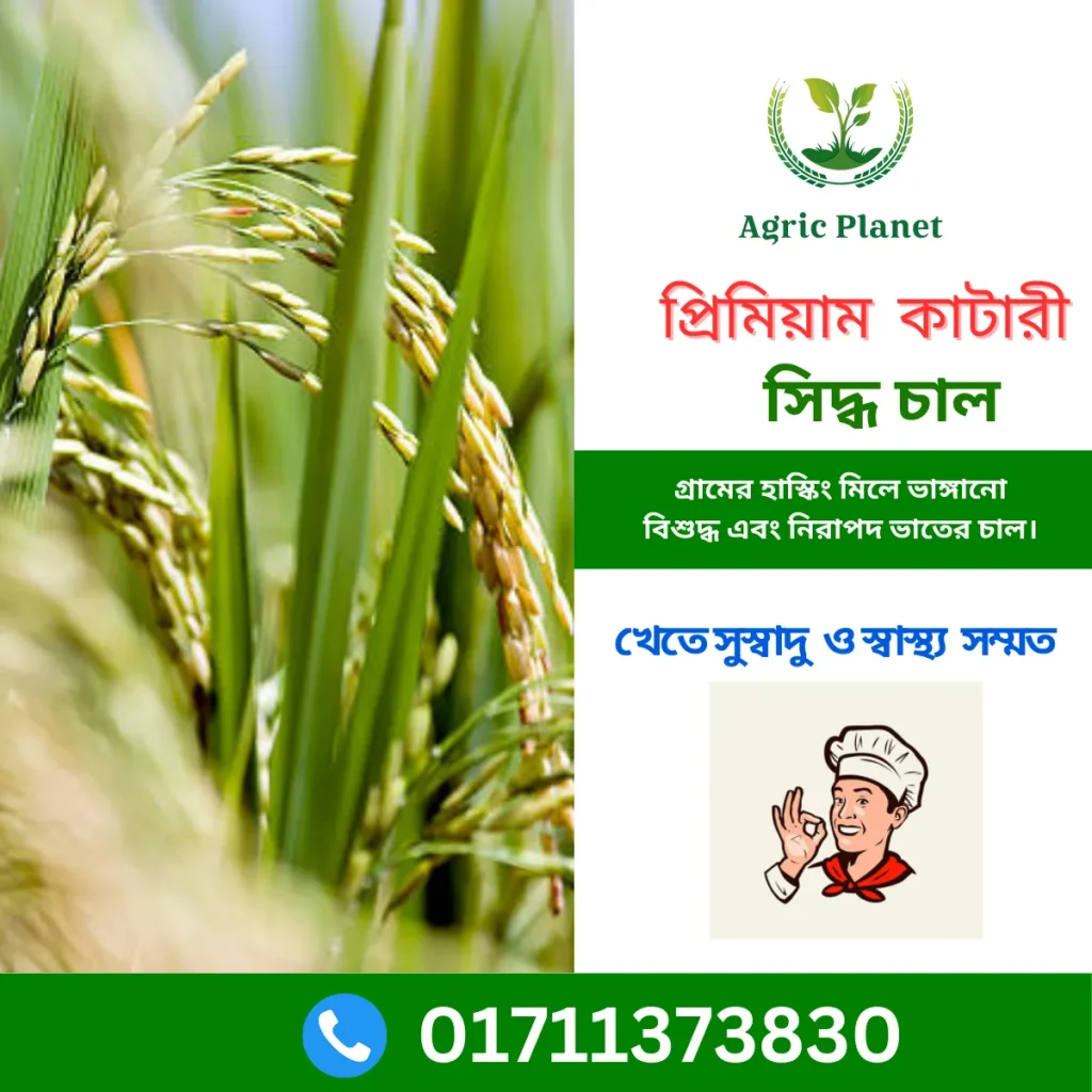 Order Katari Rice - Agric Planet